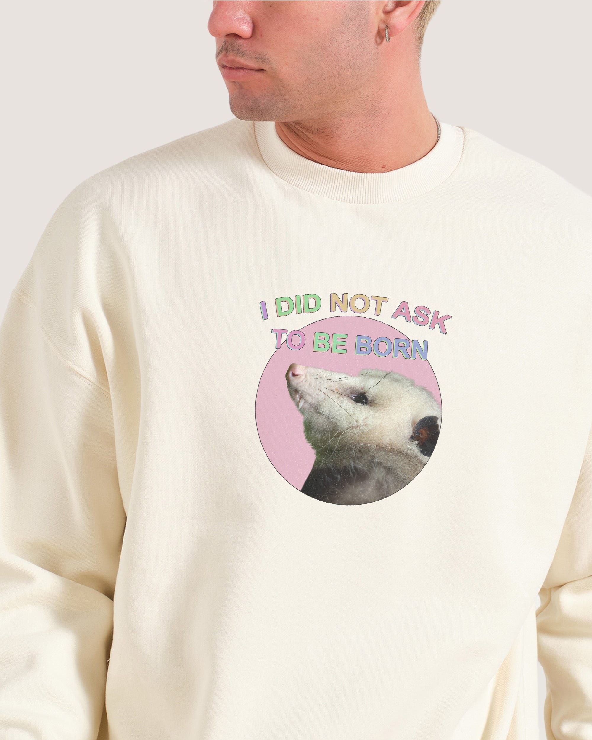 I Did Not Ask Sweatshirt Premium Unisex Graphic Sweatshirt