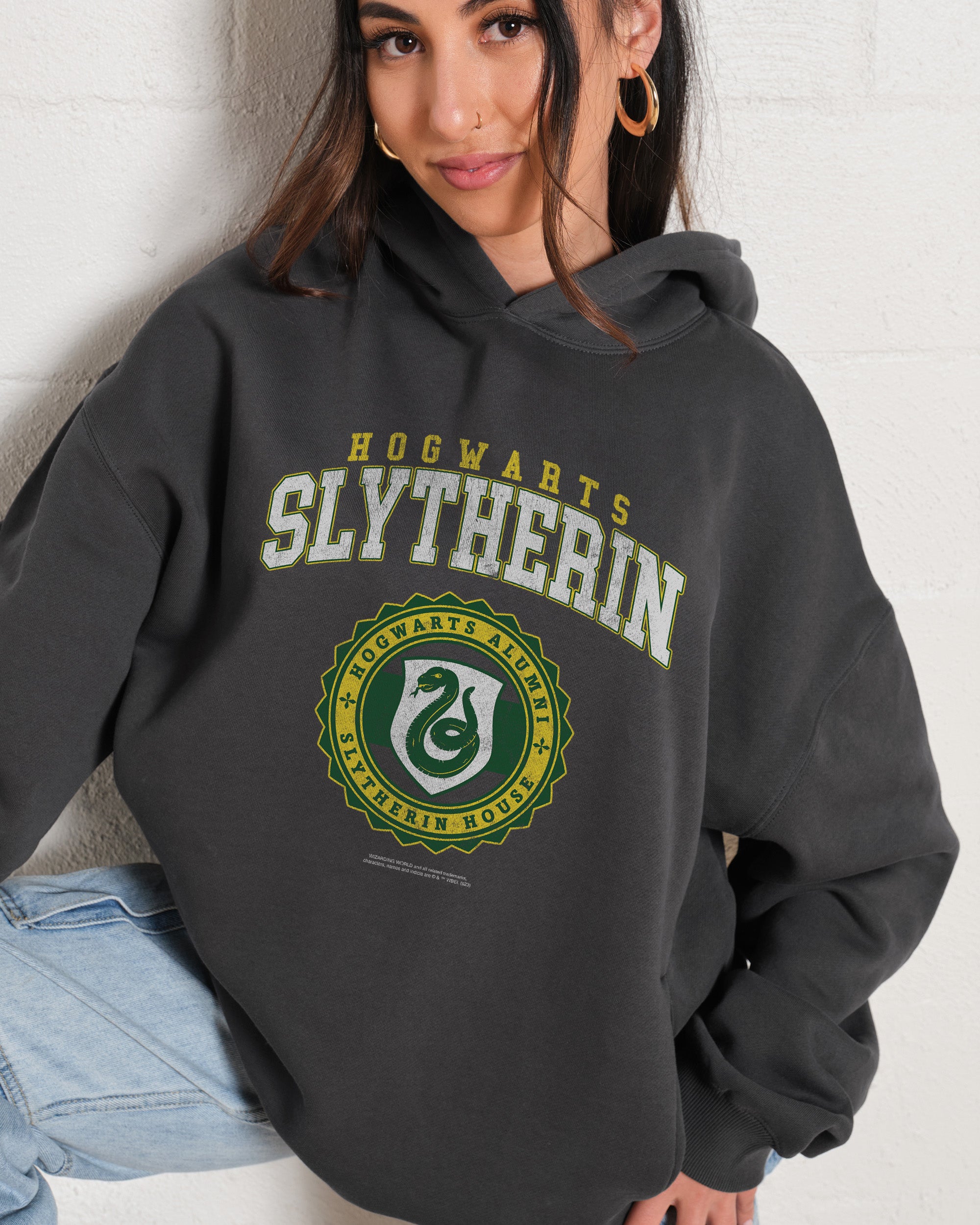 Slytherin College Hoodie - Premium Harry Potter Graphic Unisex Hoodie