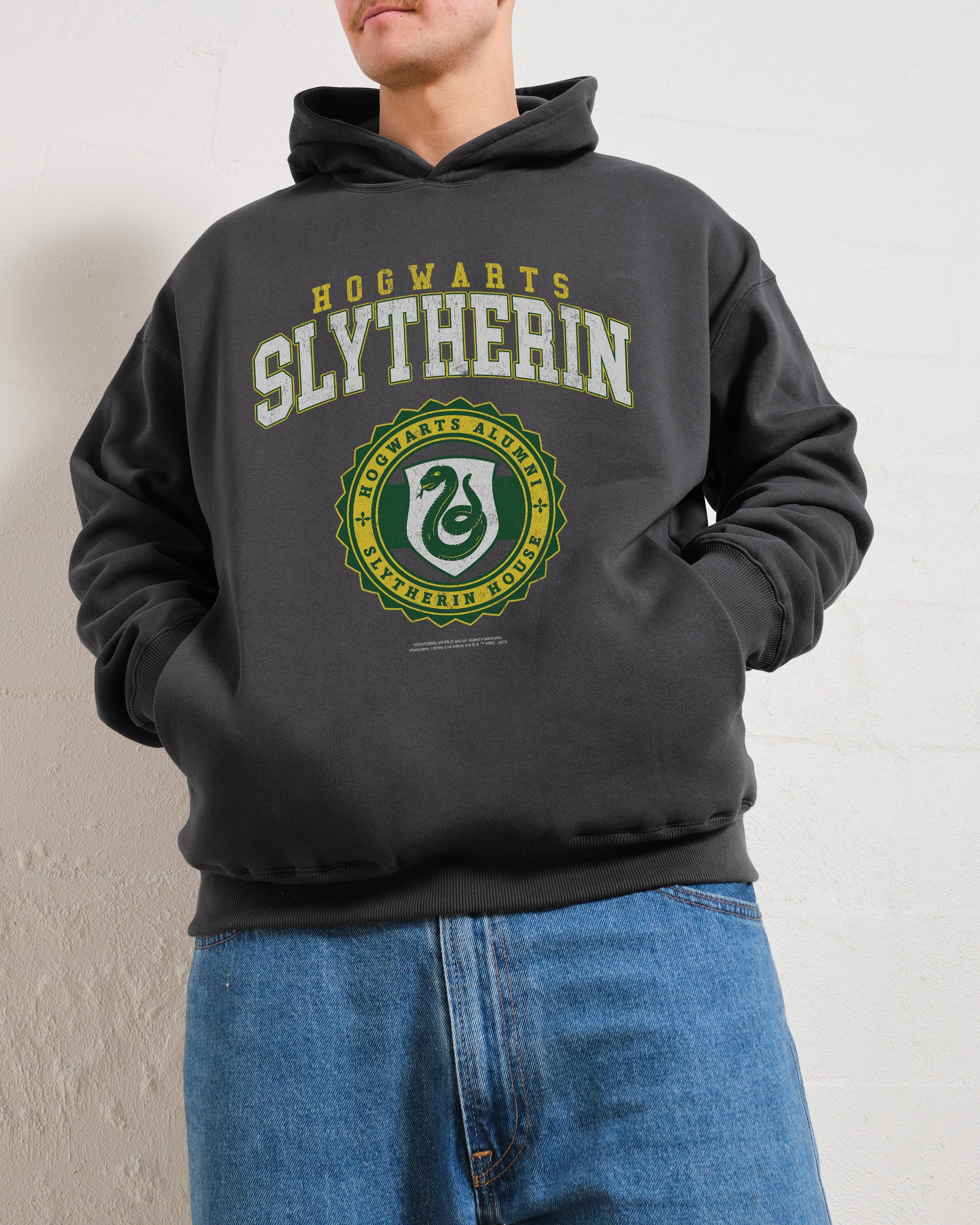 Slytherin College Hoodie - Premium Harry Potter Graphic Unisex Hoodie