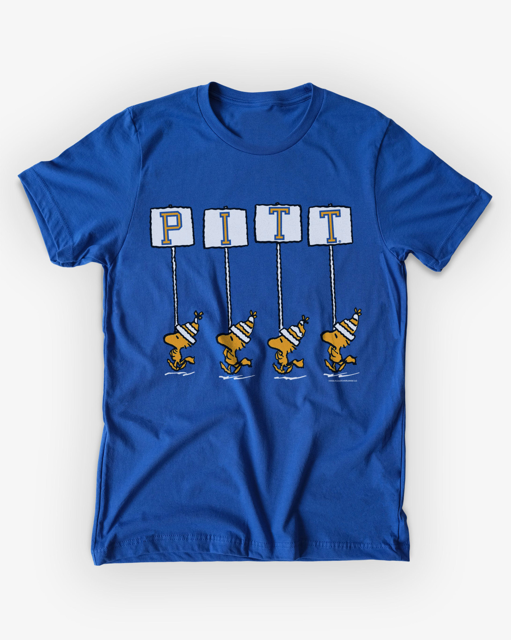 Glamasiacorner Unisex Carolina Panthers T-Shirt - Football
